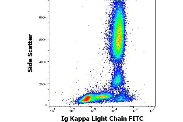 kappa Light Chain anticorps  (FITC)