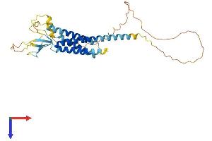 AlphaFold protein structure predicition of Mouse Recombinant Cacng3 Protein, UniprotID Q9JJV5