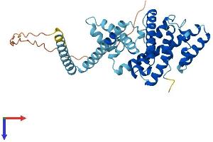 AlphaFold protein structure predicition of Human Recombinant LETMD1 Protein, UniprotID Q6P1Q0