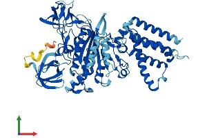 AlphaFold protein structure predicition of Human Recombinant ATP6V1A Protein, UniprotID P38606