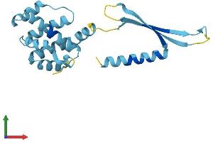 AlphaFold protein structure predicition of Mouse Recombinant Commd4 Protein, UniprotID Q9CQ02
