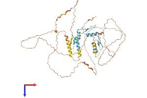AlphaFold protein structure predicition of Human Recombinant KLF11 Protein, UniprotID O14901