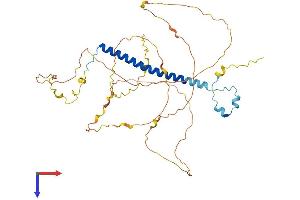 AlphaFold protein structure predicition of Mouse Recombinant Ccdc86 Protein, UniprotID Q9JJ89