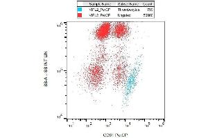 Surface staining of human peripheral blood with anti-human CD61 (VIPL2) PerCP. (Integrin beta 3 anticorps  (PerCP))