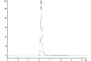 The purity of Human CD163 is greater than 95 % as determined by SEC-HPLC.