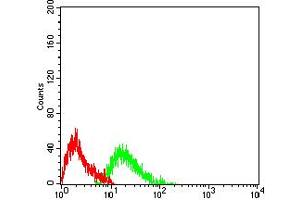 Flow cytometric analysis of Raji cells using CD45 mouse mAb (green) and negative control (red).