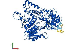 AlphaFold protein structure predicition of Human Recombinant KYNU Protein, UniprotID Q16719