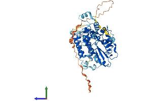 AlphaFold protein structure predicition of Human Recombinant CBLC Protein, UniprotID Q9ULV8