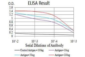 anti-Histone Cluster 2, H3c (HIST2H3C) (acLys27) antibody