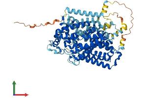 AlphaFold protein structure predicition of Human Recombinant SLC5A1 Protein, UniprotID P13866