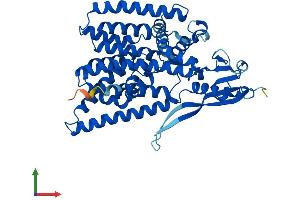 AlphaFold protein structure predicition of Human Recombinant ALG12 Protein, UniprotID Q9BV10
