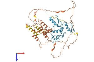 AlphaFold protein structure predicition of Human Recombinant BCL6B Protein, UniprotID Q8N143