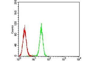 Flow cytometric analysis of Hela cells using TFAP2A mouse mAb (green) and negative control (red).