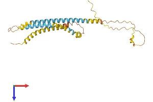AlphaFold protein structure predicition of Mouse Recombinant Spata9 Protein, UniprotID Q9D9R3