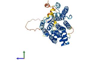 AlphaFold protein structure predicition of Human Recombinant PDSS2 Protein, UniprotID Q86YH6