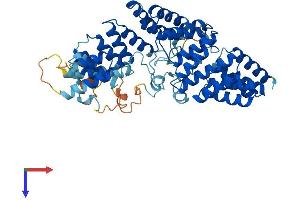 AlphaFold protein structure predicition of Human Recombinant TTC8 Protein, UniprotID Q8TAM2
