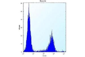 Flow cytometric analysis of Neuro-2a cells using MAN2A2 Antibody (Center) Cat.