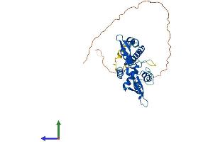AlphaFold protein structure predicition of Human Recombinant MAGEA6 Protein, UniprotID P43360