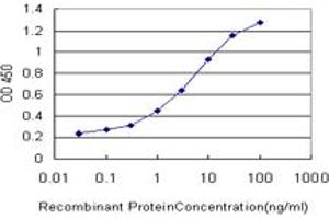 Detection limit for recombinant GST tagged ATG5 is approximately 0. (ATG5 anticorps  (AA 176-275))