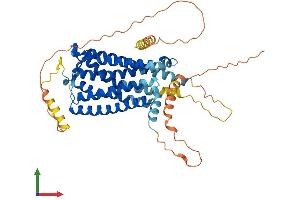AlphaFold protein structure predicition of Mouse Recombinant Cnr1 Protein, UniprotID P47746