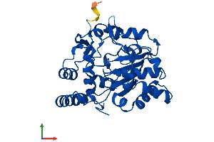 AlphaFold protein structure predicition of Mouse Recombinant Sult1d1 Protein, UniprotID Q3UZZ6