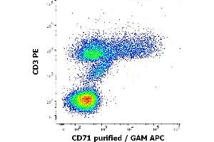 Flow cytometry multicolor surface staining pattern of human PHA stimulated lymphocytes using anti-human CD3 (UCHT1) PE antibody (20 μL reagent / 100 μL of peripheral whole blood) and anti-human CD71 (MEM-75) purified antibody (concentration in sample 0.