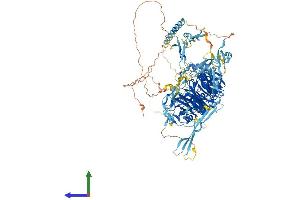 AlphaFold protein structure predicition of Human Recombinant SEMA5B Protein, UniprotID Q9P283