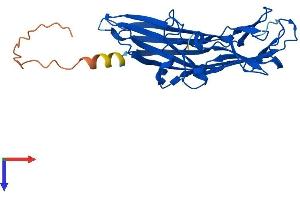 AlphaFold protein structure predicition of Human Recombinant FAM78A Protein, UniprotID Q5JUQ0