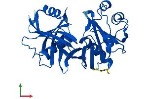 AlphaFold protein structure predicition of Mouse Recombinant Pbld1 Protein, UniprotID Q9DCG6
