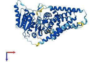 AlphaFold protein structure predicition of Human Recombinant HAS2 Protein, UniprotID Q92819