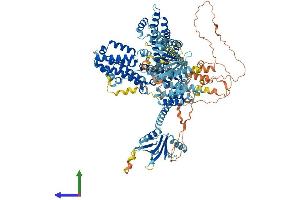 AlphaFold protein structure predicition of Mouse Recombinant Rasgrf2 Protein, UniprotID P70392