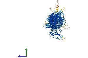 AlphaFold protein structure predicition of Mouse Recombinant Jak1 Protein, UniprotID P52332