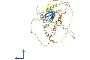 AlphaFold protein structure predicition of Human Recombinant TAMALIN Protein, UniprotID Q7Z6J2