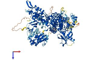 AlphaFold protein structure predicition of Mouse Recombinant Rapgef4 Protein, UniprotID Q9EQZ6