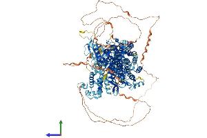 AlphaFold protein structure predicition of Mouse Recombinant Sos2 Protein, UniprotID Q02384