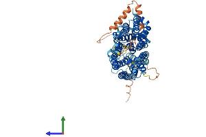 AlphaFold protein structure predicition of Human Recombinant SLC43A1 Protein, UniprotID O75387