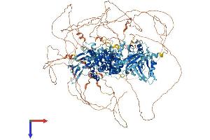AlphaFold protein structure predicition of Mouse Recombinant Rapgef2 Protein, UniprotID Q8CHG7