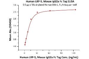 Immobilized Biotinylated Human Dkk-1, Fc,Avitag (ABIN6253199,ABIN6253585) at 5 μg/mL (100 μL/well) on Streptavidin  precoated (0.