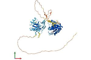 AlphaFold protein structure predicition of Mouse Recombinant Dusp7 Protein, UniprotID Q91Z46
