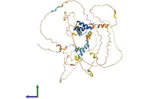 AlphaFold protein structure predicition of Mouse Recombinant Arx Protein, UniprotID O35085