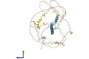 AlphaFold protein structure predicition of Human Recombinant CREB3L2 Protein, UniprotID Q70SY1