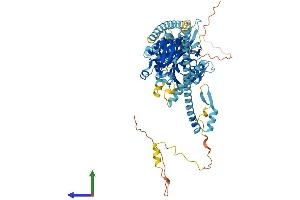 AlphaFold protein structure predicition of Human Recombinant KIF3A Protein, UniprotID Q9Y496