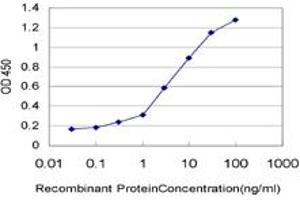 Detection limit for recombinant GST tagged IL8 is approximately 0. (IL-8 anticorps  (AA 21-99))