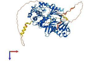 AlphaFold protein structure predicition of Mouse Recombinant Plk3 Protein, UniprotID Q60806