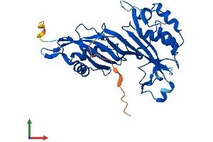 AlphaFold protein structure predicition of Human Recombinant PUSL1 Protein, UniprotID Q8N0Z8