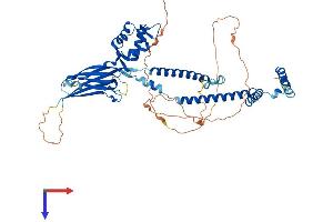 AlphaFold protein structure predicition of Human Recombinant SMARCD2 Protein, UniprotID Q92925