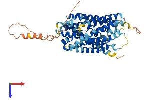 AlphaFold protein structure predicition of Mouse Recombinant Slc38a1 Protein, UniprotID Q8K2P7
