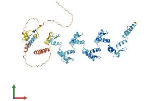 AlphaFold protein structure predicition of Human Recombinant ZNF431 Protein, UniprotID Q8TF32