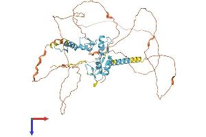 AlphaFold protein structure predicition of Mouse Recombinant Glis2 Protein, UniprotID Q8VDL9