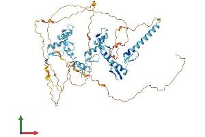 AlphaFold protein structure predicition of Human Recombinant ZNF358 Protein, UniprotID Q9NW07